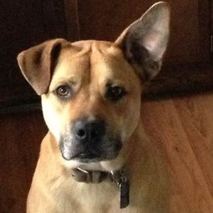 Meet your Posher, Karma